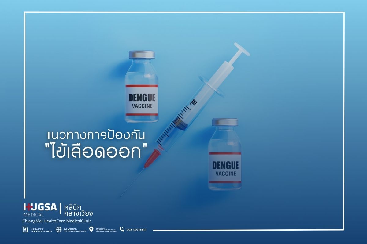 แนวทางการป้องกัน ไข้เลือดออก